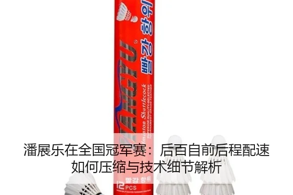 潘展乐在全国冠军赛：后百自前后程配速如何压缩与技术细节解析
